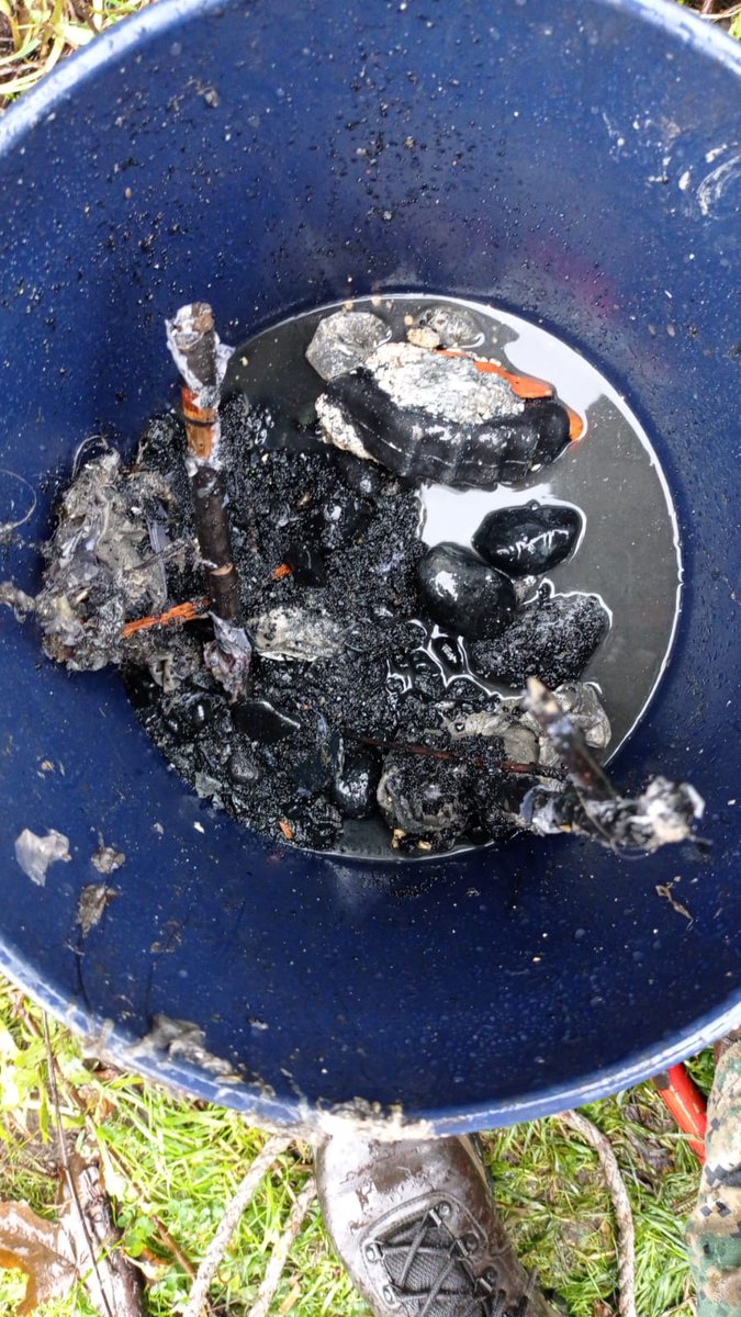 SuralisTeAyuda's tweet photo. Luego de desobstruir👷la red de alcantarillado🕳️de #Paillaco retiramos materiales de construcción y restos de una cabeza de vacuno.
Agradecemos denunciar estas acciones que generan rebalses con impacto al #MedioAmbiente al Fono Ayuda📞600 401 4000... Gracias. https://t.co/rtGAQiwLmR