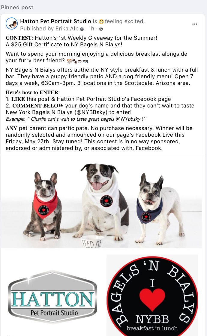 HattonPortrait's tweet image. Check out Hatton Pet Portrait Studio's first EVER summer weekly giveaway contest! This week's prize features a $25 gift certificate to @nybagelsnbialys ! Simply follow the directions in the photo below THRU Facebook! Post is pinned! facebook.com/HattonPetPortr…