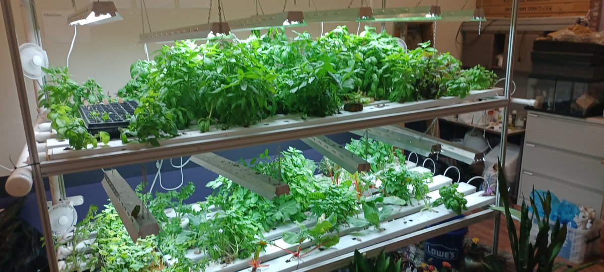 Joe Oliphant tweet media