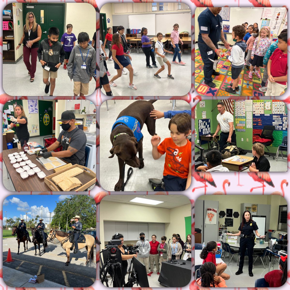 Flamingo Elem tweet media