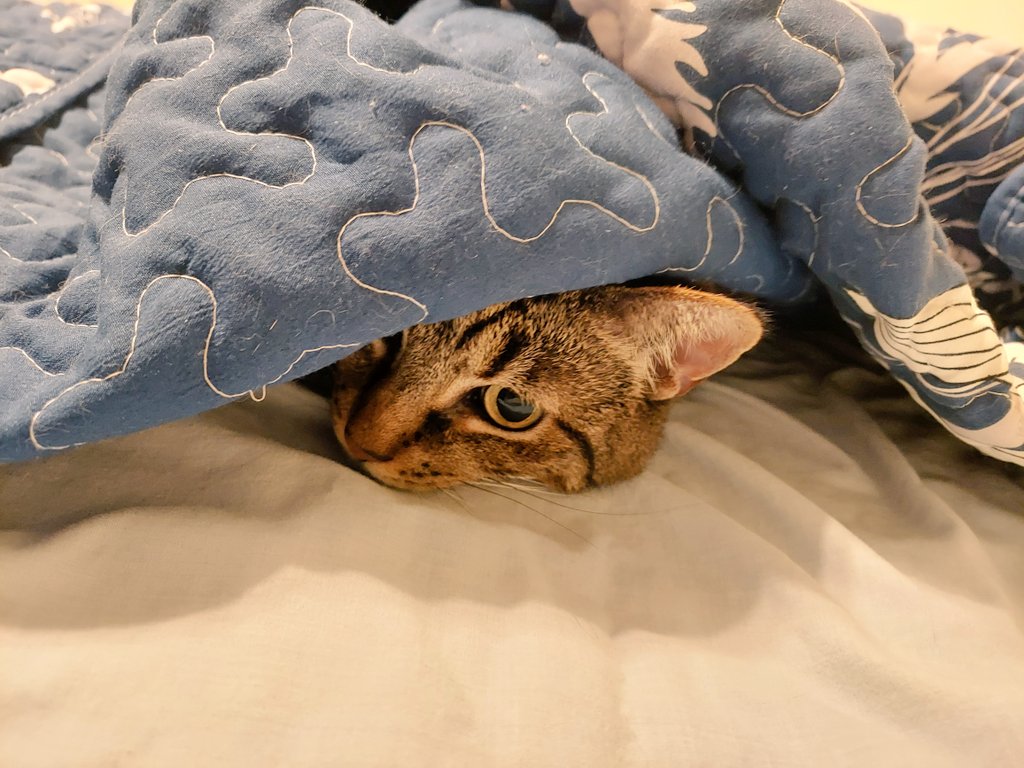 Hayden Marie 📚 tweet media