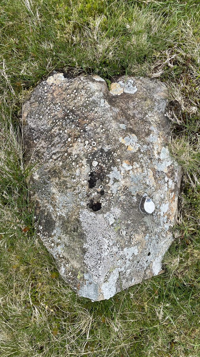 KeelePetrology tweet picture