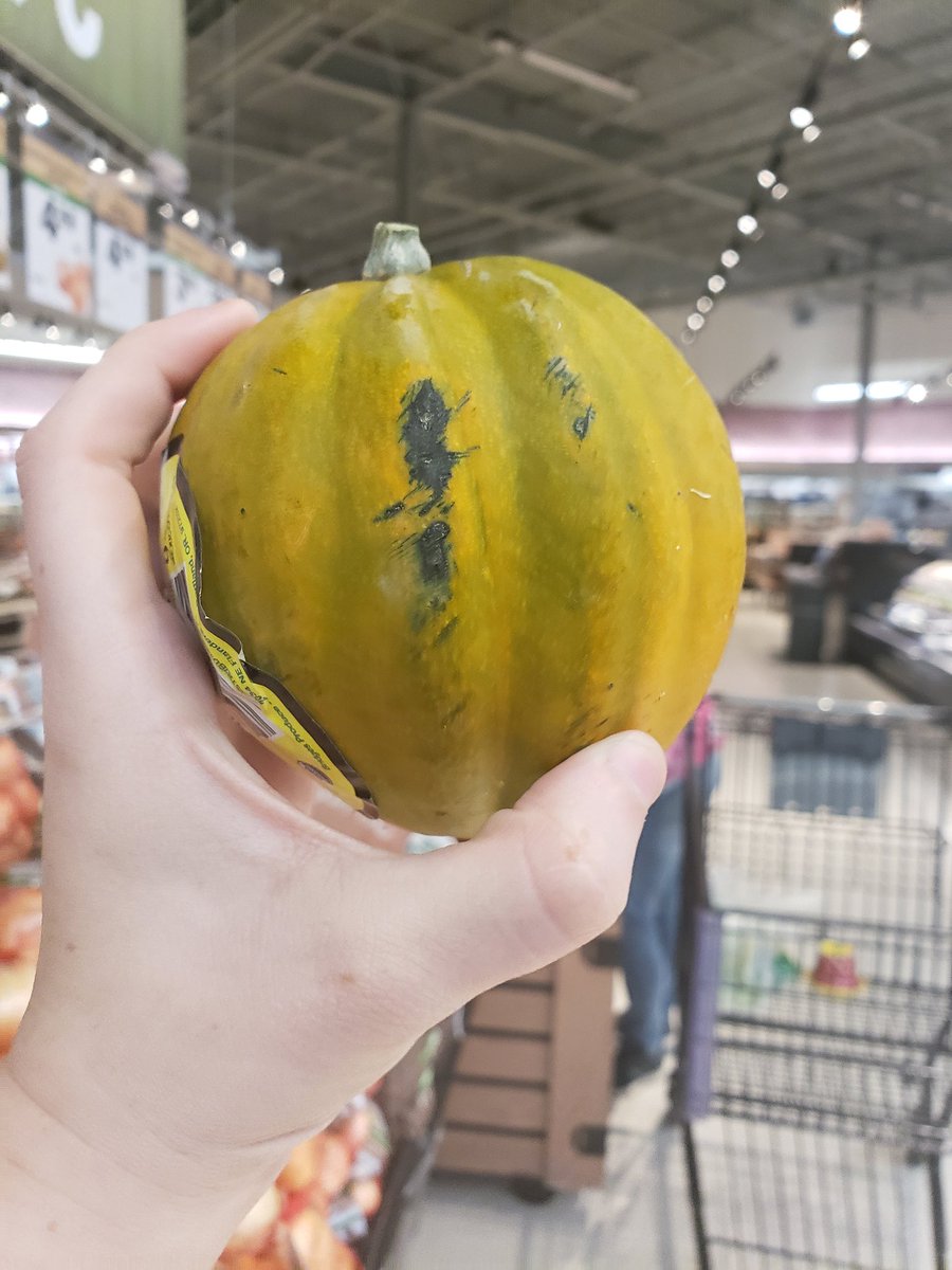 I found Scrat's acorn but with future! I'm with my friends and Chip, Dale, Monty, Gadget and Zipper #foodinmeijer #ChipNDale #ChipNDaleRescueRangers