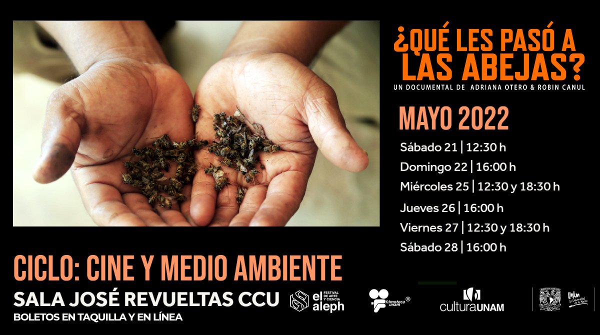 Abejas_Doc's tweet photo. Les dejamos los horarios de las funciones de ¿Qué les pasó a las abejas? en la Sala José Revueltas en CCU. Gracias @FilmotecaUNAM @FestivalElAleph @CulturaUNAM 🌻🐝💛https://t.co/6Gse2KShpa #SomosAbejas #AbejasCine 🍿 https://t.co/BAirGur9rV