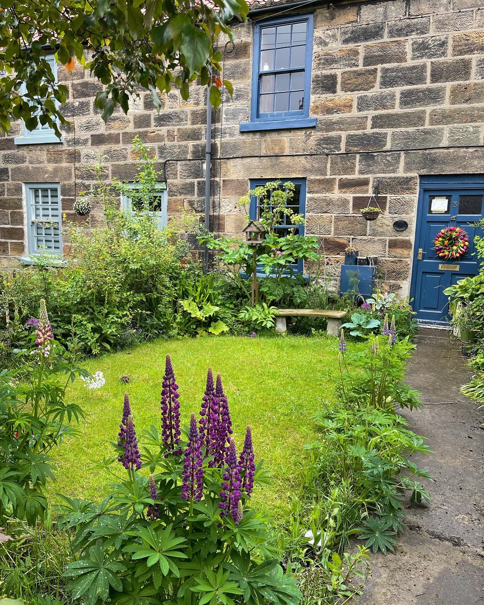 pauljonesking's tweet photo. With all the rain the #cottagegarden #roancottage is looking nice and green #coastalliving #redcarandcleveland #cottage #GardeningTwitter #gardening #garden #northyorkshirecoast https://t.co/uUxBpe1Zsl