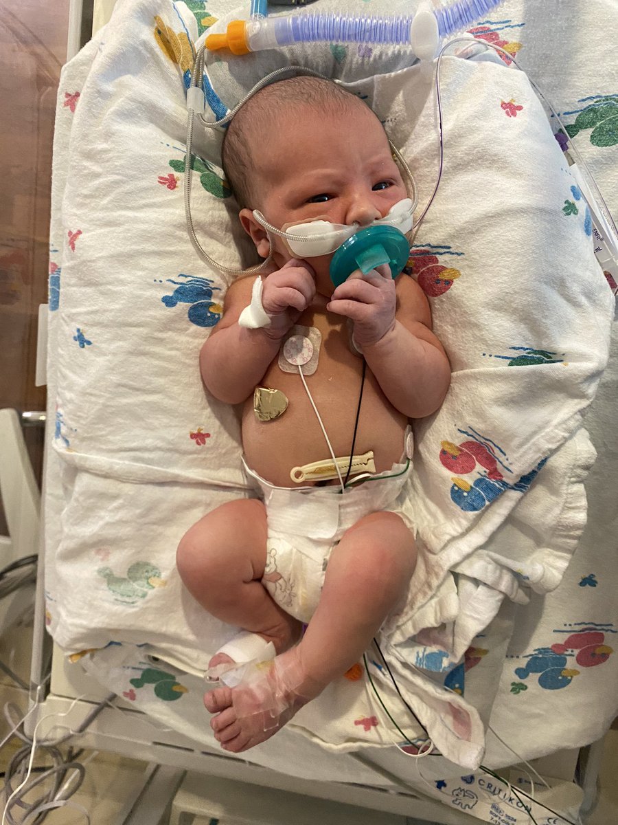 21Cheez's tweet photo. Little man made his appearance yesterday afternoon! We are so blessed with this little guy. Just a few more days in the NICU before we roll a speed ladder out and start working on that jump shot. 

Luca Miles Quillin https://t.co/0e4LnNsAkD