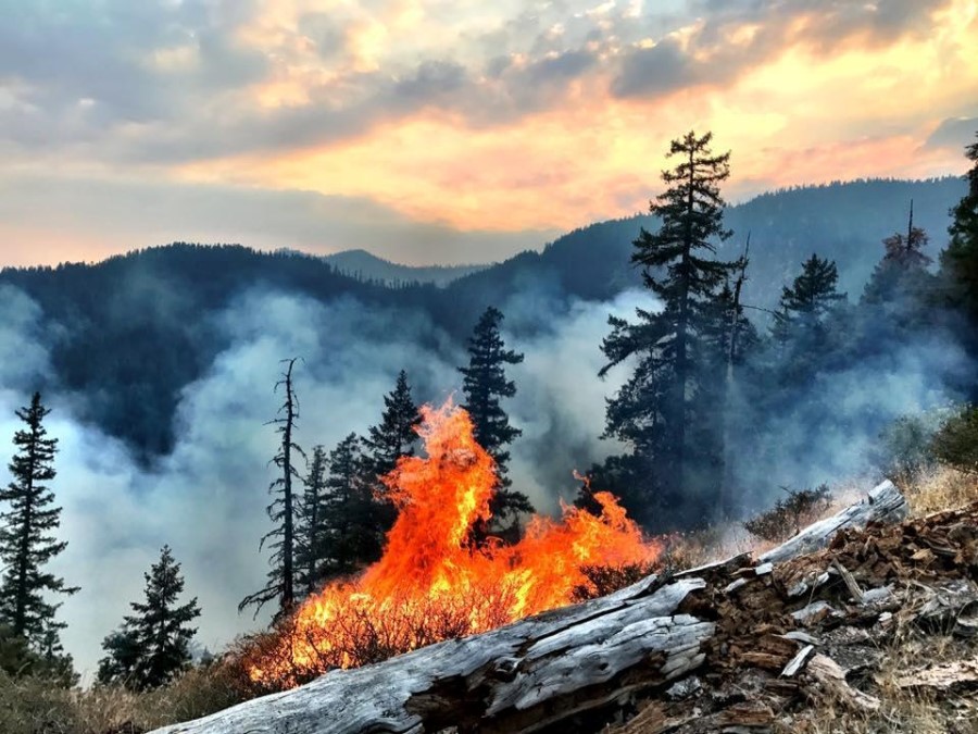 NWCG's tweet photo. A primary objective of every operational fire plan is to keep #firefighters out of entrapment situations. However, #firefighters must always be prepared to escape quickly to a safety zone or deployment area. #LCES
@6minutes4safety #6MFS
https://t.co/J9AbzJAoyY https://t.co/NvapBiC5fo