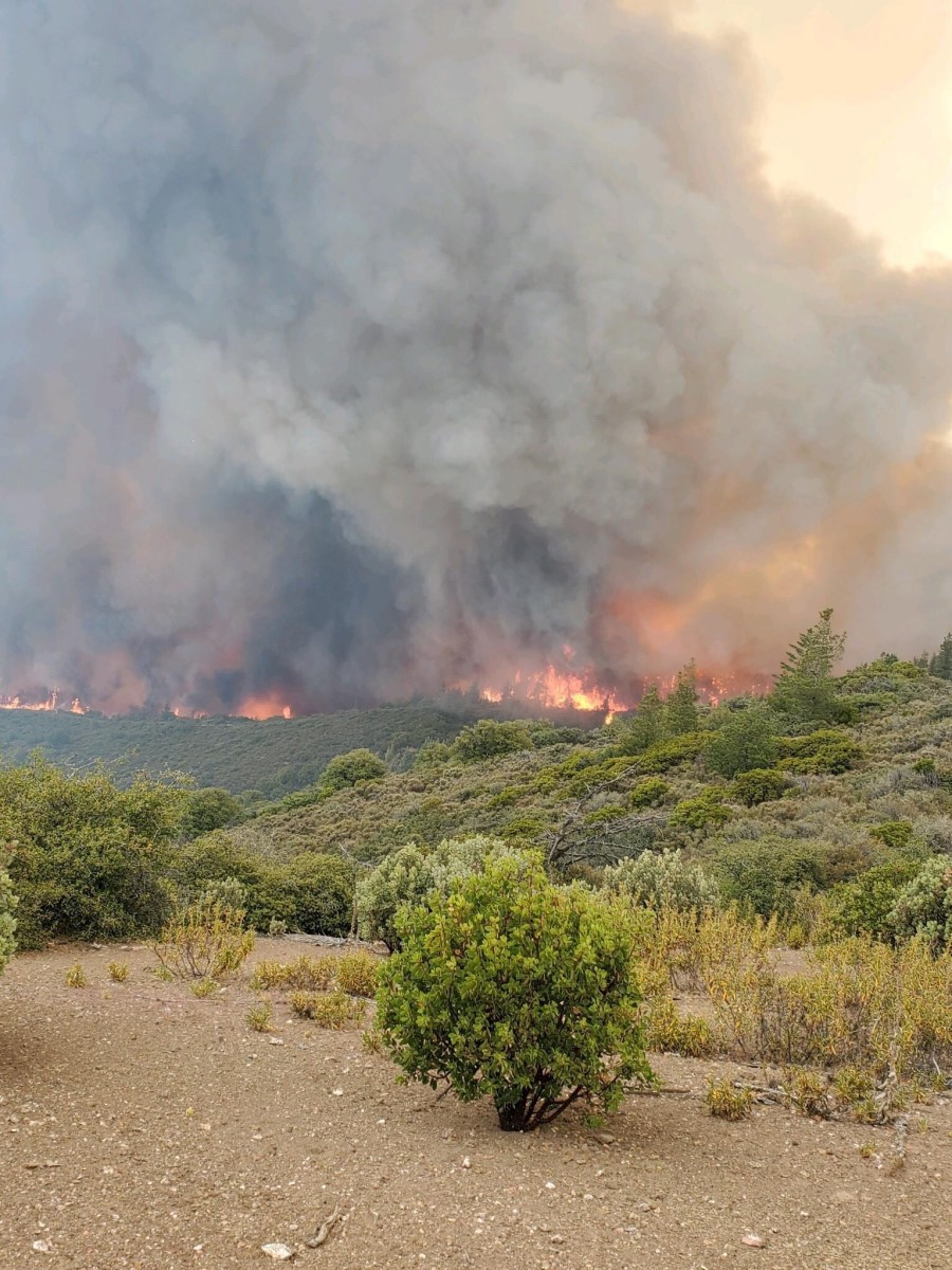 NWCG's tweet photo. #Firefighters must never rely on fire shelters. Instead, they depend on escape routes and safety zones. However, if the need for shelter deployment should arise, it is imperative that #firefighters know how to deploy a fire shelter.
@6minutes4safety #6MFS
https://t.co/HdOaYGexdp https://t.co/V2uHBetjVJ
