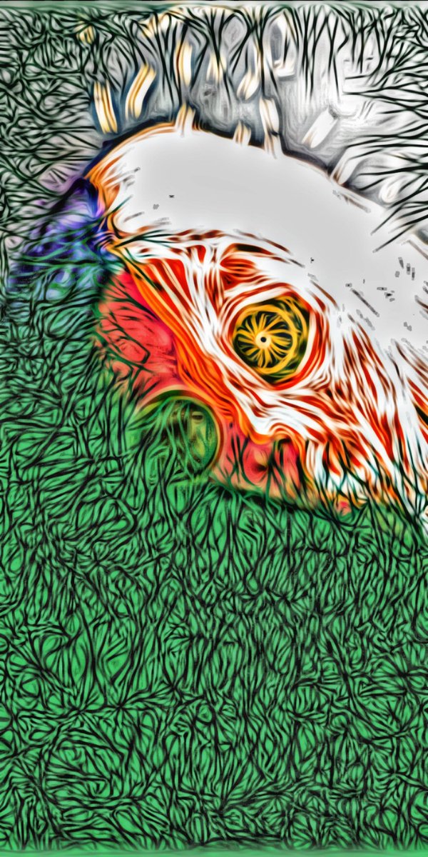 Ckrisart's tweet photo. Generation.W collection 
what is your score out of 10 for this work.
6 eth
ethereum on the polygon network . Floor price from this collection #GenerationW 
1   💯 #NFTCommunity
to.     #nftcollector
10 ❤️‍🔥 #NFTartist 
#NFTMarketplace #opensea #NFTSold #nft https://t.co/EfyLjhB6SA