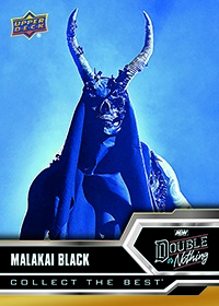 wrestlingcards's tweet photo. 2022 @UpperDeckSports AEW Double Or Nothing digital cards are up at Upper Deck E-Pack. #AEW #UpperDeck #DoubleOrNothing #WrestlingTradingCards https://t.co/XJfEUxGNmq