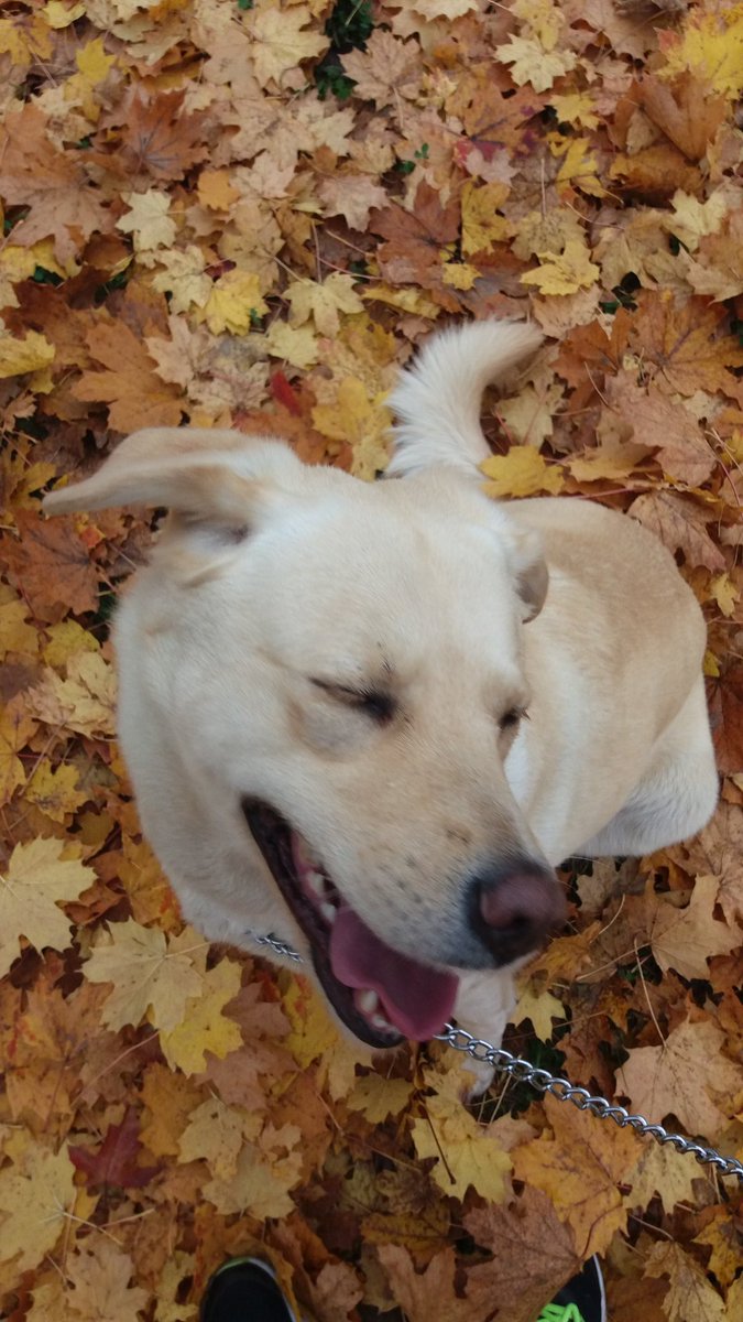 Susan Angela C.♡Ω🏳️‍🌈 tweet media