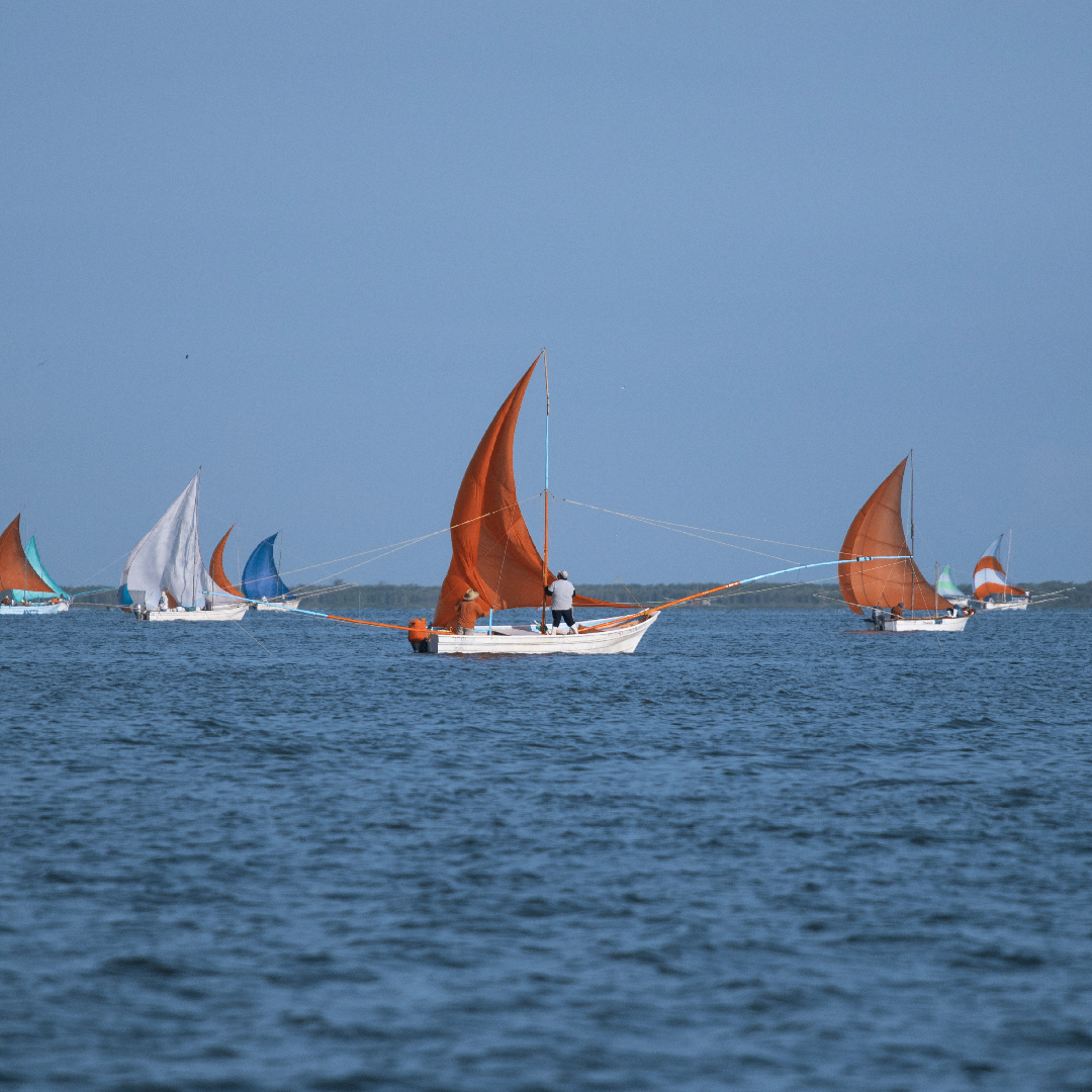 Del Pacifico Seafoods se fundó en el 2014, con la misión de producir el camarón de la más alta calidad a nivel mundial utilizando los métodos más artesanales que existen. ⛵

#delpacifico #sustentable #camarones #artesanal #pescasalvaje #camaronazul #fairtrade #comunidadpesquera