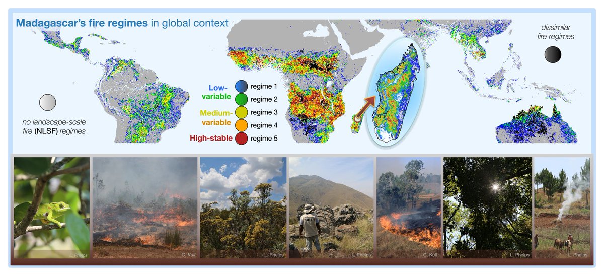 Global Change Biology (@globalchangebio) on Twitter photo || NEW RESEARCH ||
Madagascar's fire regimes challenge global assumptions about landscape degradation
📰 bit.ly/3MzFxON <a href="/LeanneNPhelps/">Leanne N. Phelps</a> || NEW RESEARCH ||
Madagascar's fire regimes challenge global assumptions about landscape degradation
📰 bit.ly/3MzFxON <a href="/LeanneNPhelps/">Leanne N. Phelps</a>