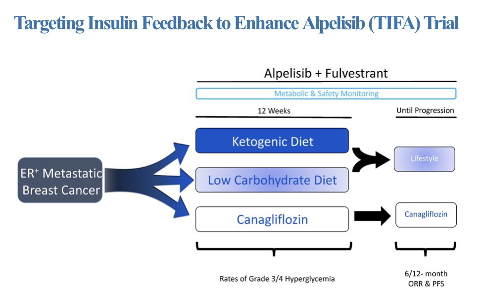 Many congratulations to Dr. <a href="/SherryShenMD/">Sherry Shen</a> on receiving a Young Investigator Award for leading our ketogenic diet trial! She’s a total rockstar and I’m thrilled to see <a href="/ConquerCancerFd/">Conquer Cancer, the ASCO Foundation</a> continue to support the next generation of leaders in cancer research! <a href="/ASCO/">ASCO</a> <a href="/MSKCancerCenter/">Memorial Sloan Kettering Cancer Center</a>