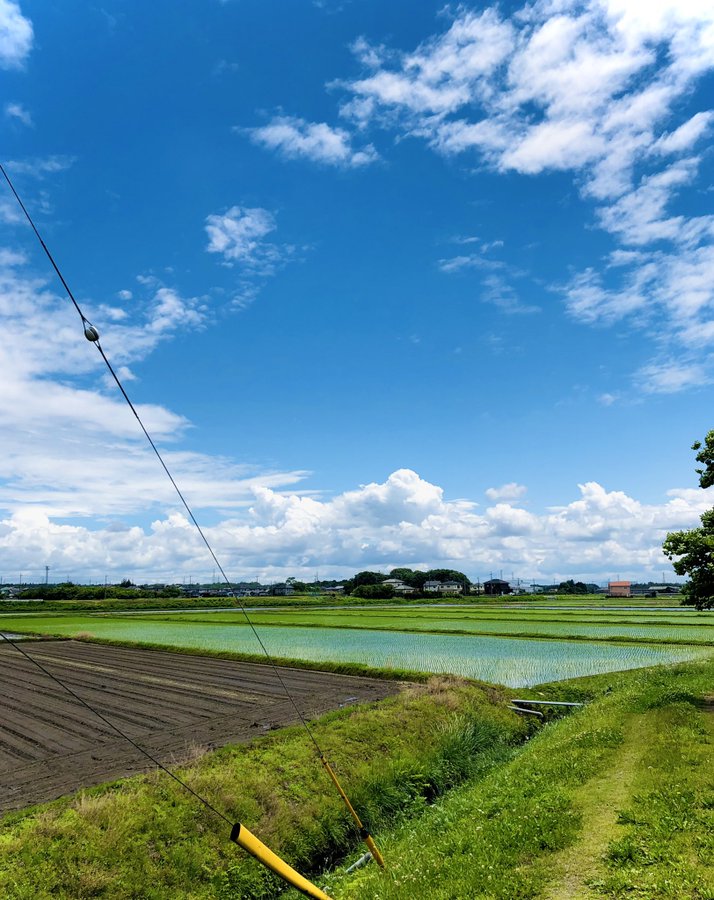 夏に向かってという感じが少し懐かしい Pinqueue