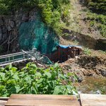 ツイートに含まれる画像