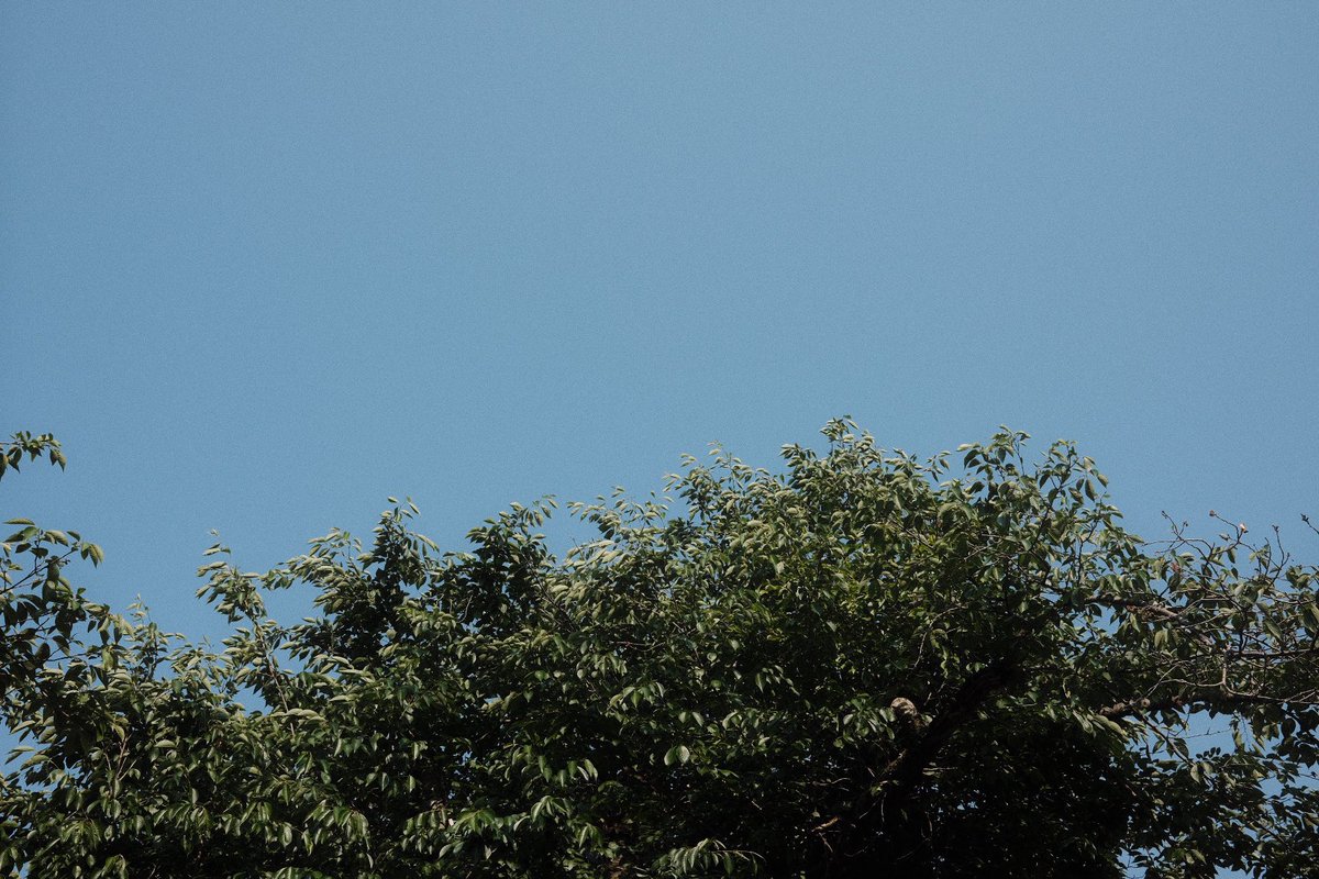 ▽ ปาร์คศรีโท่ย ▽ tweet media