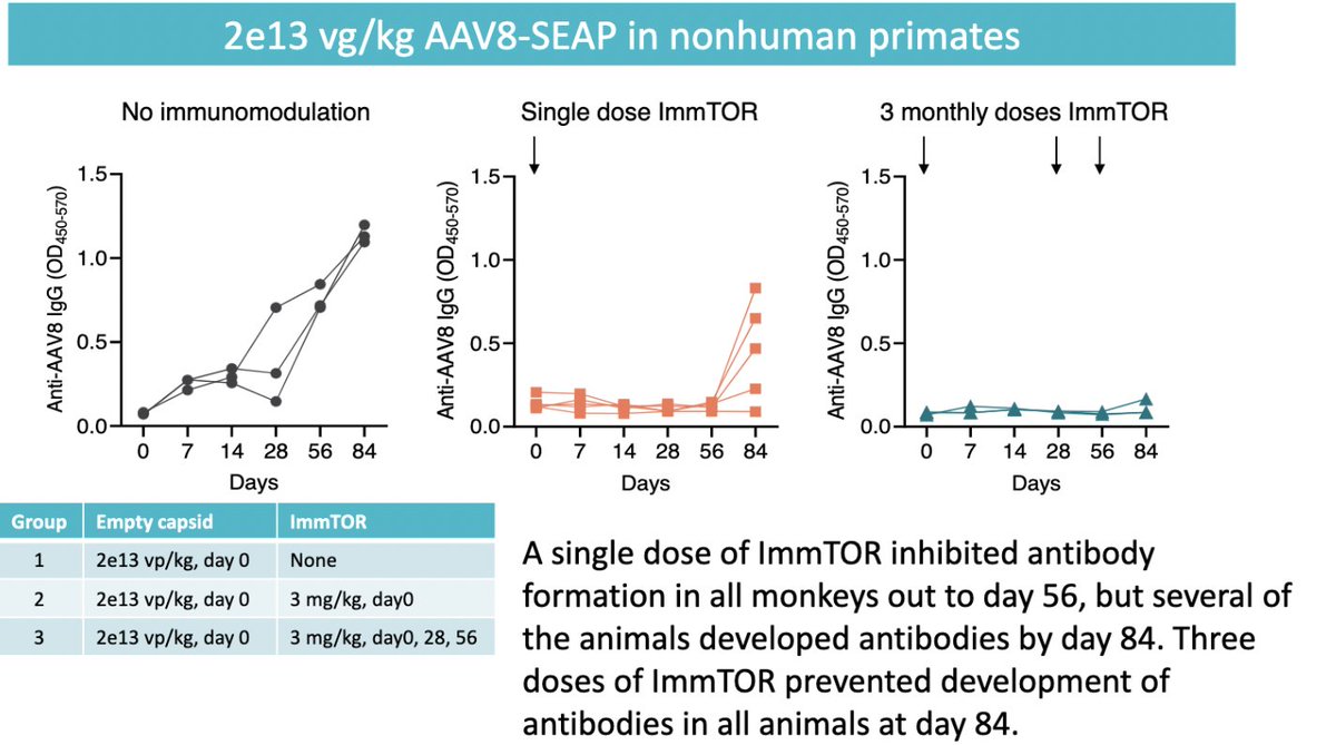 ajwang3's tweet photo. @TIlyaich Interesting tech, but probably has limited application in its current form. NHP data shows the need to 3x dose ImmTOR just to not see antibodies at day 84. A single dose still led to AAV-8 abs after day 56! Hard to say if this can be tolerated for human AAV redosing... https://t.co/v3wsXyAEBO