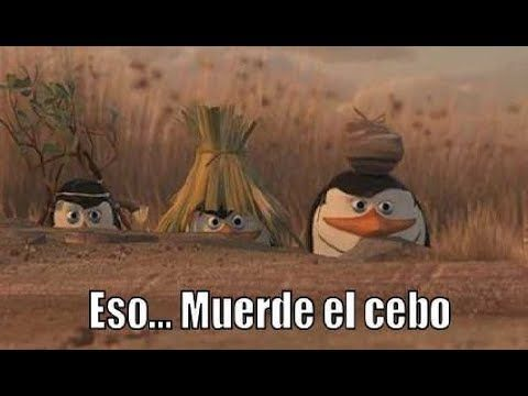 LVP LoL Norte tweet media