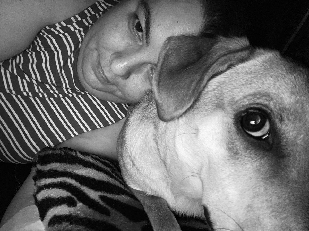 JessSayingHi's tweet photo. Just a girl and her unofficial caretaker/pillow. He laid on my pillow so I had to lay on him. Silly boy … Recovery is slow but steady. https://t.co/1rIPqD9e0C