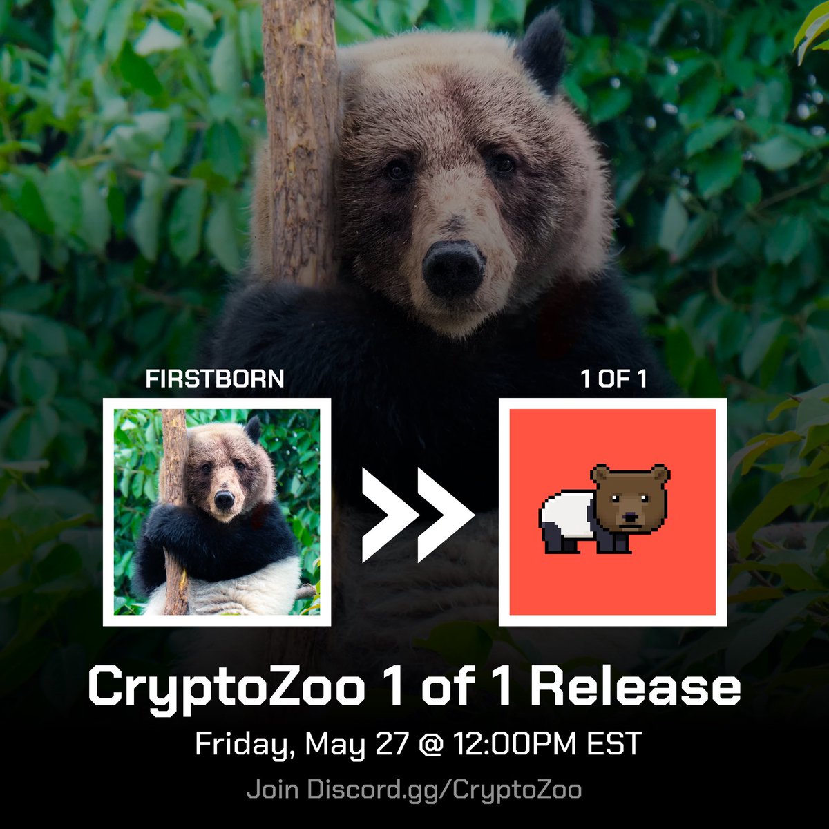 ZooKeepers will Soon ™️ be able to claim their exclusive 1 of 1 NFTs.

The official release will be happening this Friday at 12PM EST, via Zoobay.io 

Join our discord here: discord.gg/cryptozoo