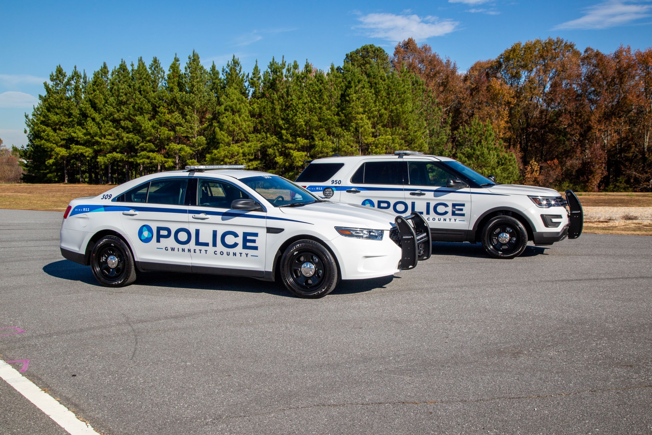 Gwinnett Police Department Number - xl71tvz
