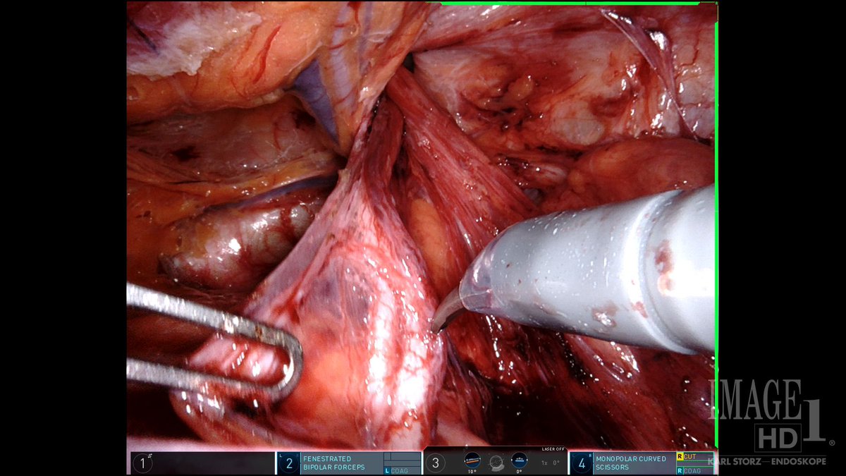 Eric Knauer tweet media