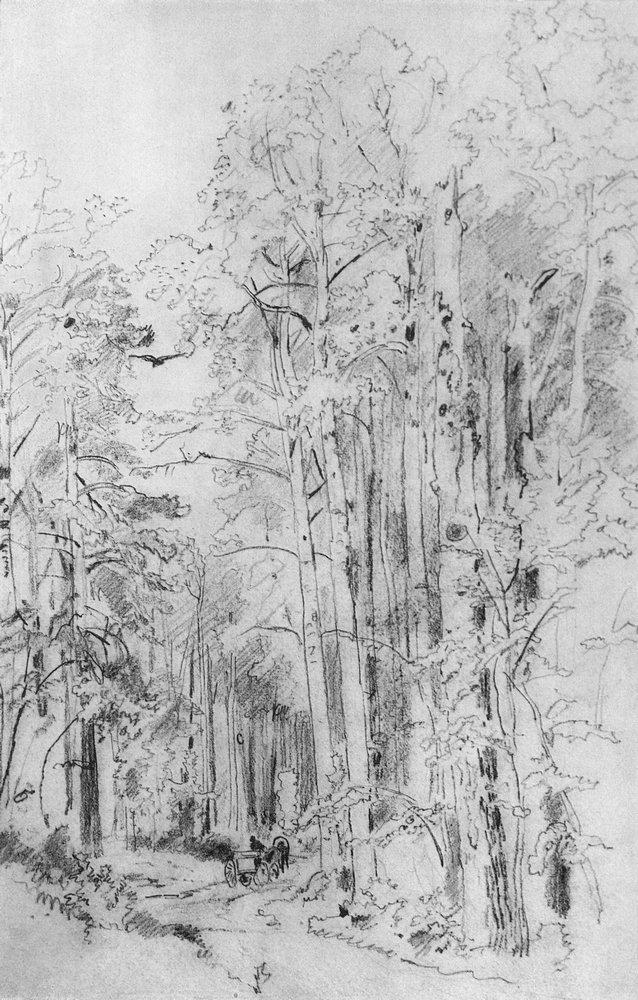 RT @artistshishkin: Aspen on the way to Kivach, 1889 #shishkin #ivanshishkin https://t.co/A3IwynmWQq https://t.co/F5t7bppzKY