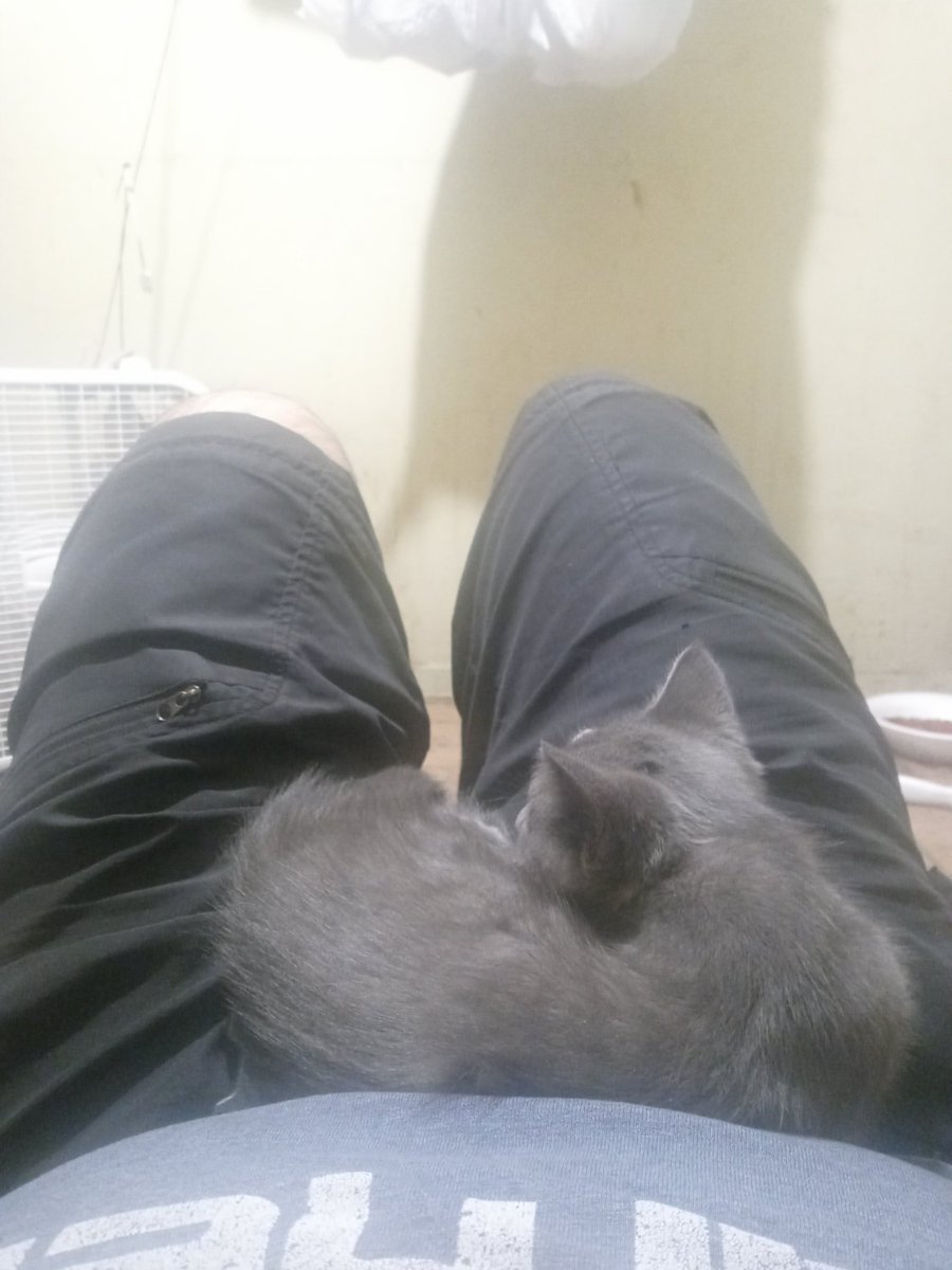 PPuffpass's tweet image. Help i have to go to the restroom but...