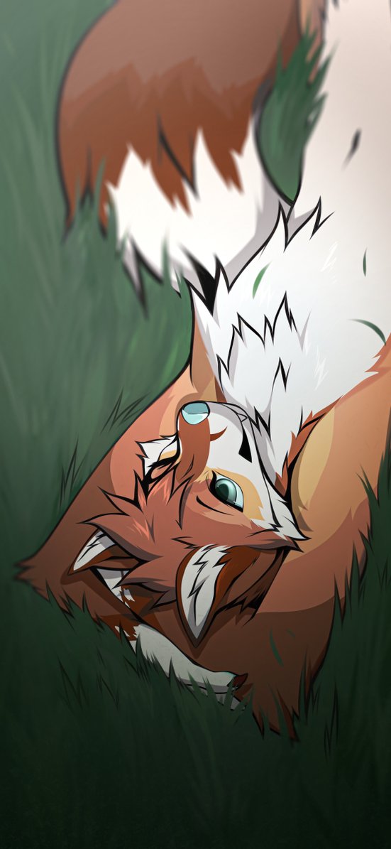 grass solo white fur lying no humans furry fox  illustration images