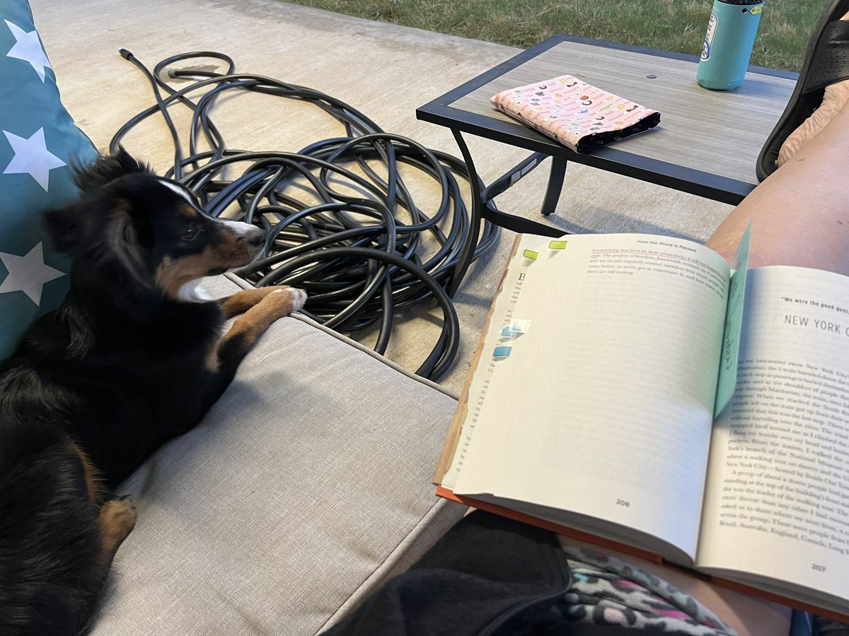 Enjoying the cooler weather on the porch with Buck and a book!  #Alvaradoreads