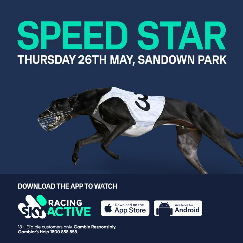 Watch 2024 sky racing