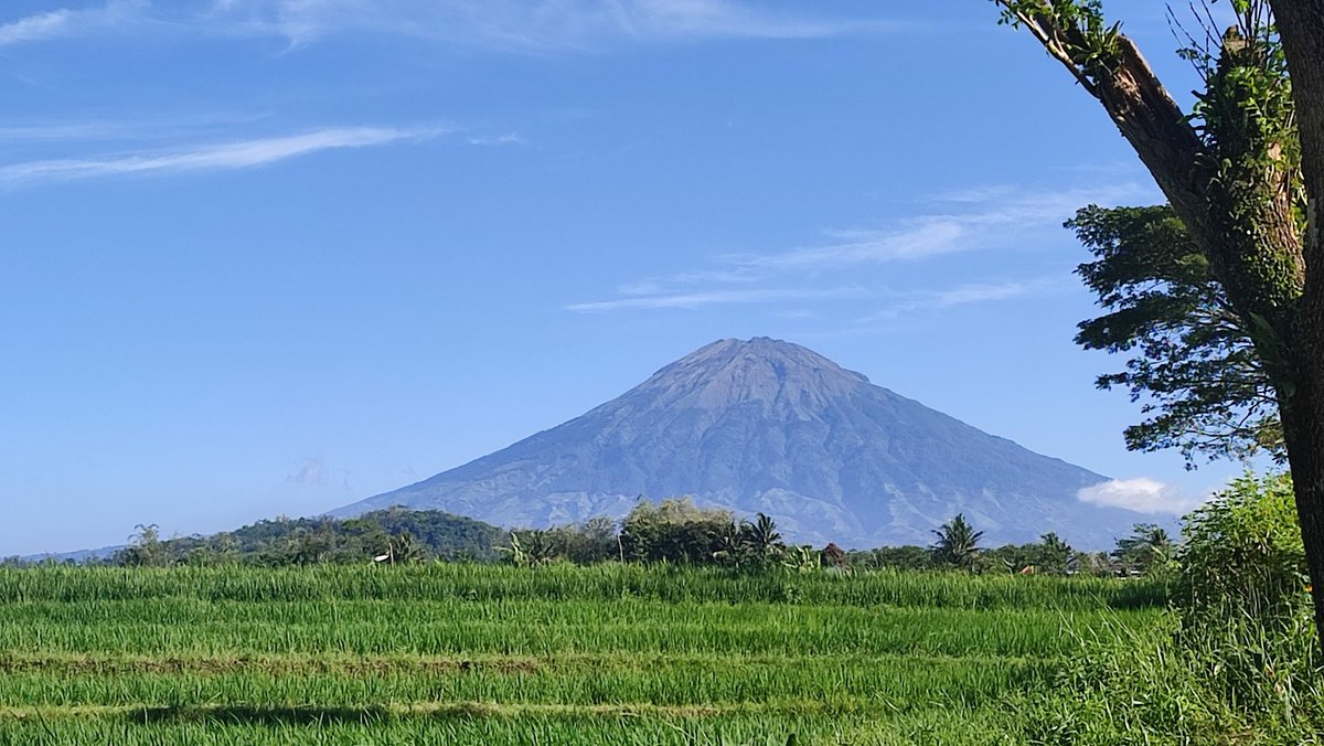 jacintha_box's tweet photo. Magelang cerah lhur... Sarapan view gunung dulu pagi ini
#MagelangStory
#LifeinMagelang
#JavaChic https://t.co/r1mNOdXqZw