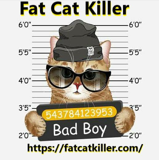 ComStocksfinder's tweet photo. @BSCGemsAlert @Fat_Cat_Killer https://t.co/7cgaYOA4hc
