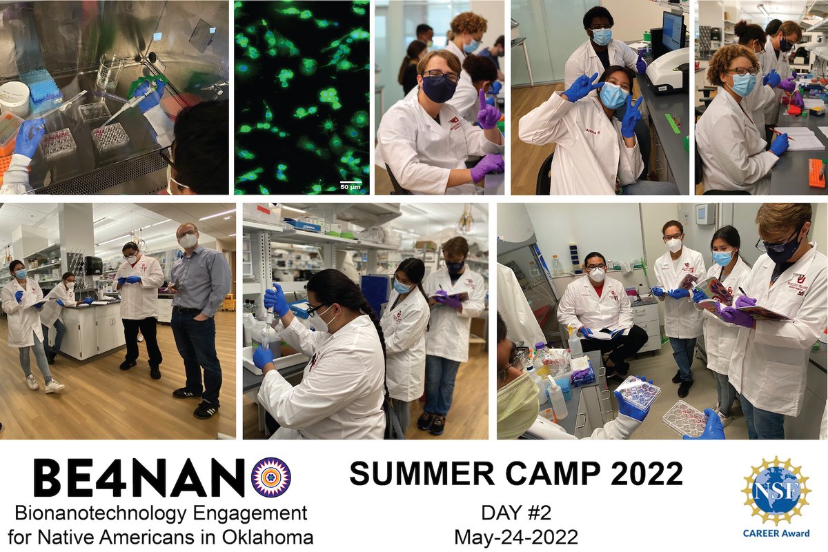 On Day 2 of the @Wilhelm_Lab #BE4NANO summer research camp, our @mycktc high school students performed a cell uptake study using surface-engineered nanoparticles. @sbme_ou @ENGINEERINGatOU @OUResearch @UofOklahoma @NSF #CAREER @StephensonCC
