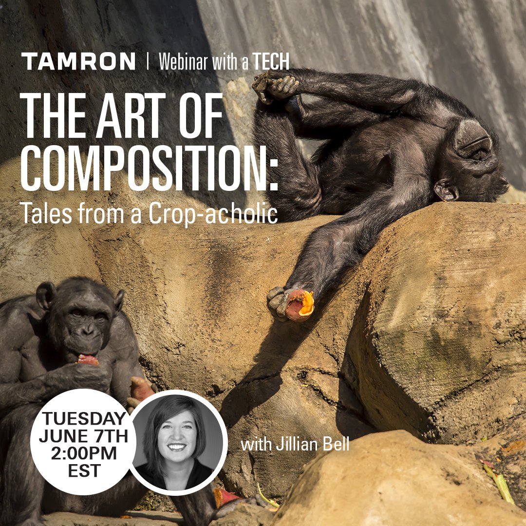 Jillian Bell has a knack for cropping creatively based on the photo’s purpose. Join Jillian on June 7 at 2pm EST as we go beyond basic composition! Link to register: attendee.gotowebinar.com/register/69249…