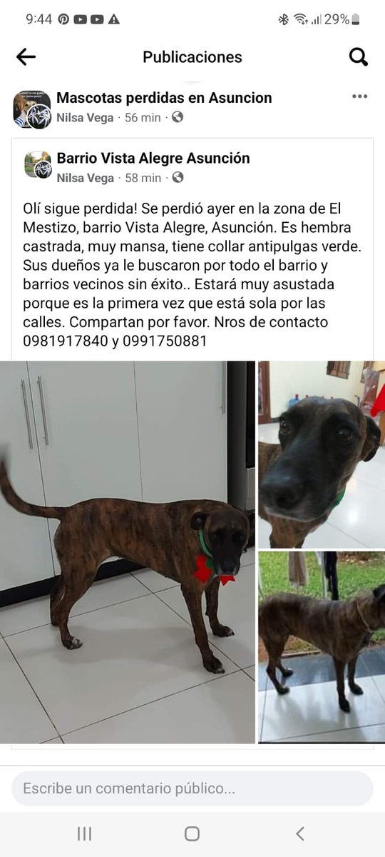 Ayudemos