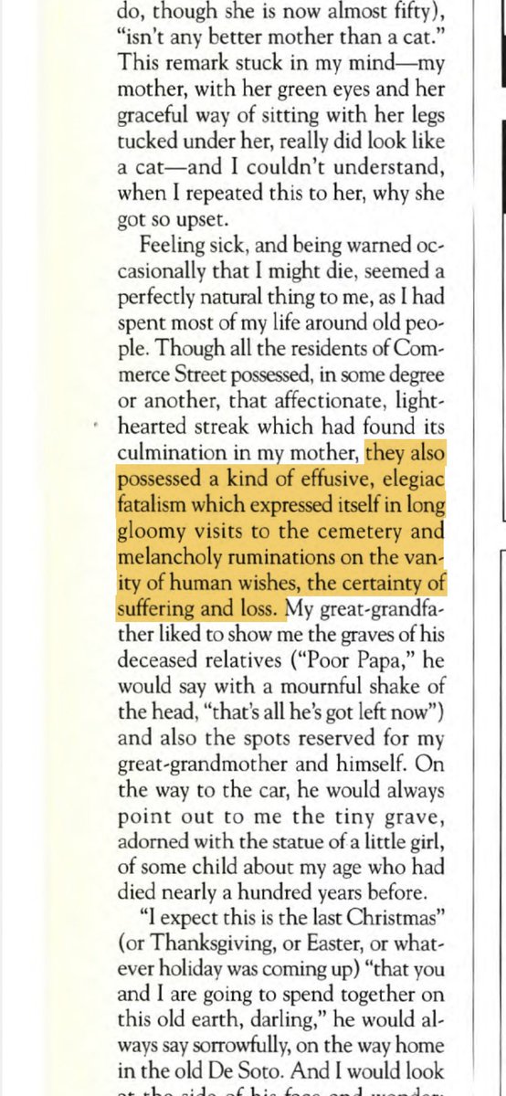 sleepytown by donna tartt