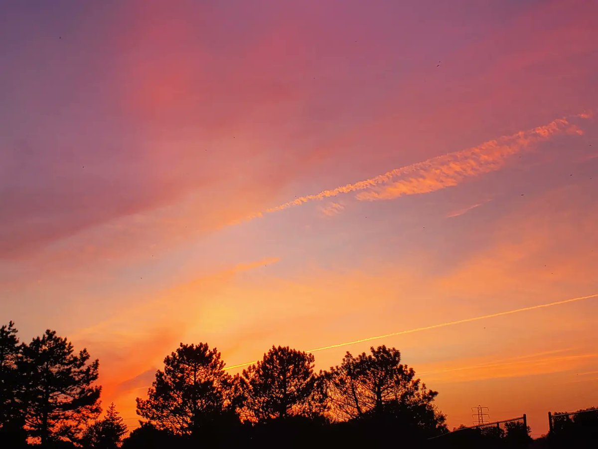 Jennifer Hoffman Yochem tweet media