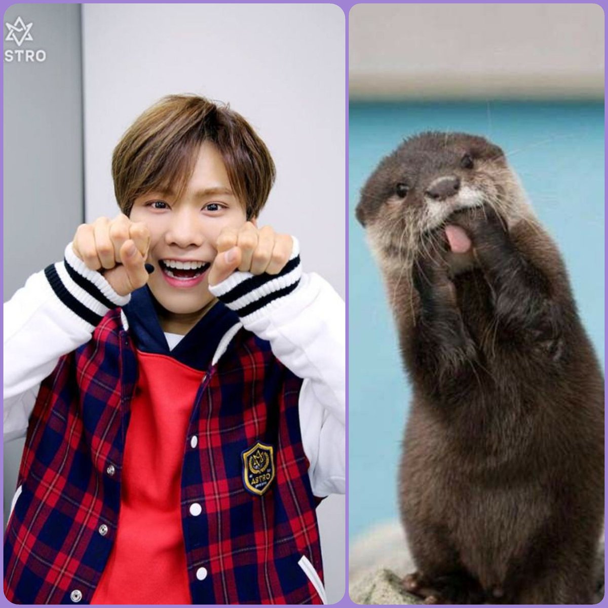 今日はカワウソの日だそうですよ～😊 と言う事で可愛いbabyカワウソ