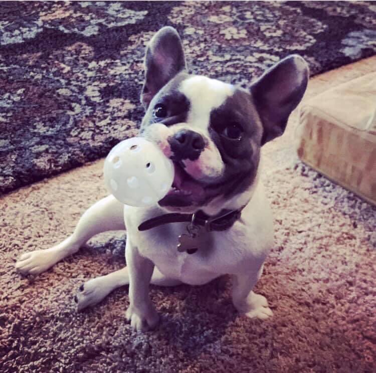 Shanon Klink tweet media