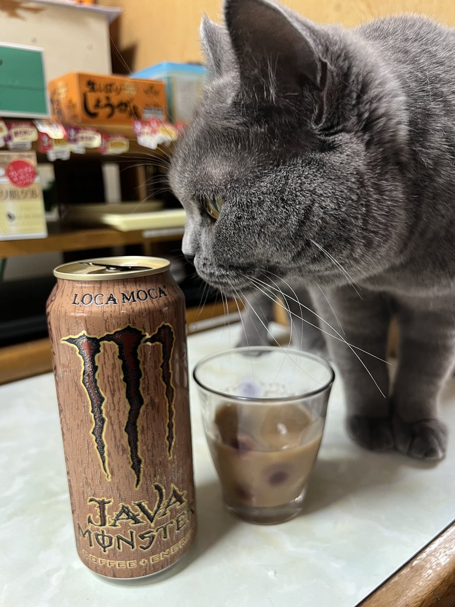 sukeyotafumi's tweet photo. あまーい‼️アメリカンな味付けのミルクコーヒーって感じ。…けど嫌いじゃない😊 日本で売ってたら週一くらいでなら飲んでみたいかも😌 #日本未発売MONSTER #JAVAMONSTER #LOCAMOCA https://t.co/9jp5x7l6nx