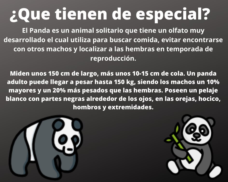 Savethepandas26's tweet image. Más datos sobre los oso pandas: