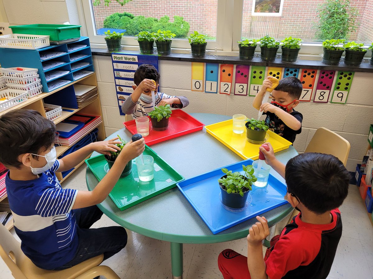 MrsConklin_MVW's tweet photo. Watering our basil helps it grow! #mvwes #fcpsprek https://t.co/ZmnAVwhvhn