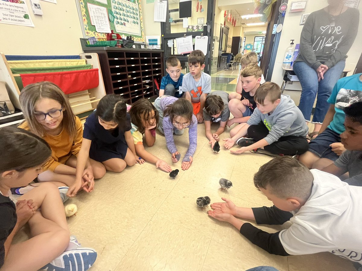 Angela Johnson tweet media