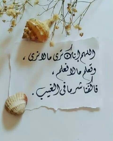 💯🆔☪️⚪الخيط الرفيع (@rooro_m0) on Twitter photo 