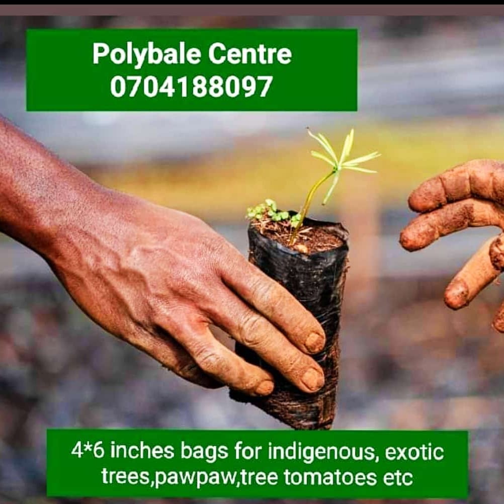 All sizes available now