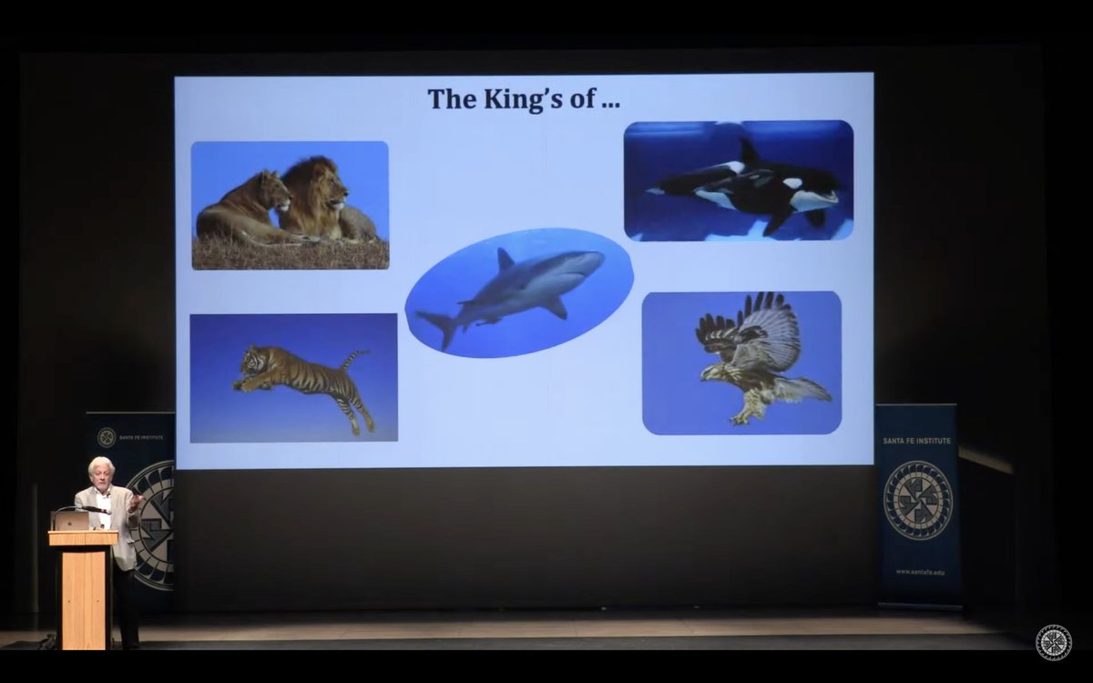 "If you delve into the predator-prey literature, you find out that the top predators succeed at only about 25% of their attempts. But they make a pretty good living at a 75% failure rate. We underestimate the amount of failure that's acceptable."