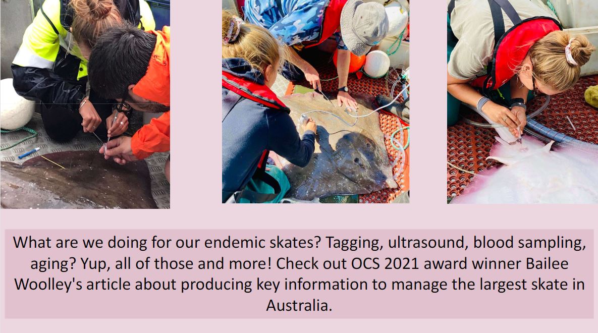 📢 𝗡𝗲𝘄𝘀𝗹𝗲𝘁𝘁𝗲𝗿 𝗧𝗲𝗮𝘀𝗲𝗿 📢

Curious to know what 2021 OCS Student Research Award winner <a href="/BaileeWoolley/">Bailee Woolley</a> has been up to?

Well, you can read all about her work on the Melbourne #skate in the upcoming OCS Newsletter!!!