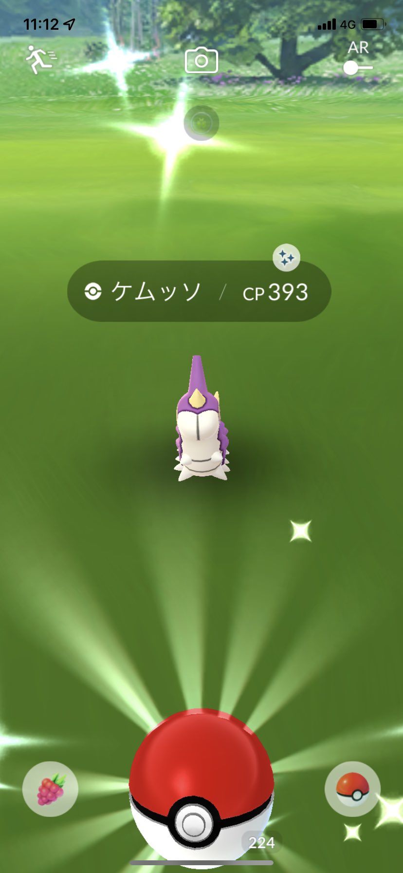 ポラリス ポケモンgo 色違いケムッソ出ました ポケモンgo 色違い ケムッソ T Co N9bguhmldo Twitter